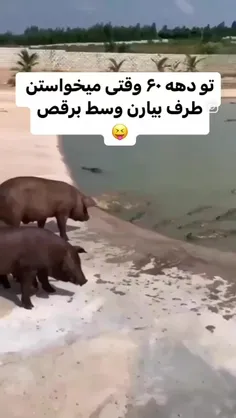 تو دهه ۶۰ وقتی میخواستن طرف رو بیارن وسط برقصه😂