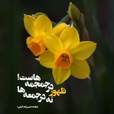 ✨ ظهور 