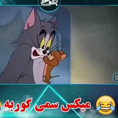 گربه