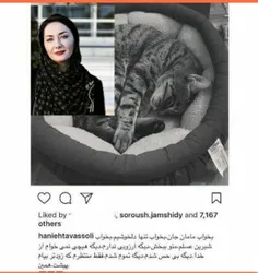 🔺در دنیایی زندگی می‌کنیم سلبریتی‌هایش که برای مرگ گربه‌ها