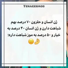 السلام علیک یامهدی ادرکنی