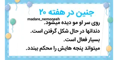 گوناگون madare_nemoneeh 27991631