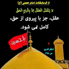 ائمه#معصومین#ائمه_معصومین#امام#امامان#روایت#حدیث#امام_حسی