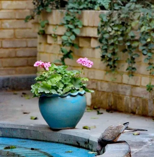 🍂🌷هرکس به خدا و روز قیامت ایمان دارد، باید سخن خِیر بگوید یا...
