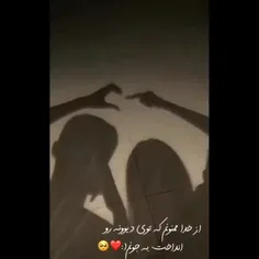 پروانه و گل 