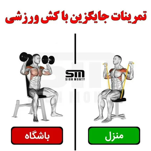 🔰بدنسازان نسبت به دیگر افراد نیاز بیشتری به پروتئین دارند