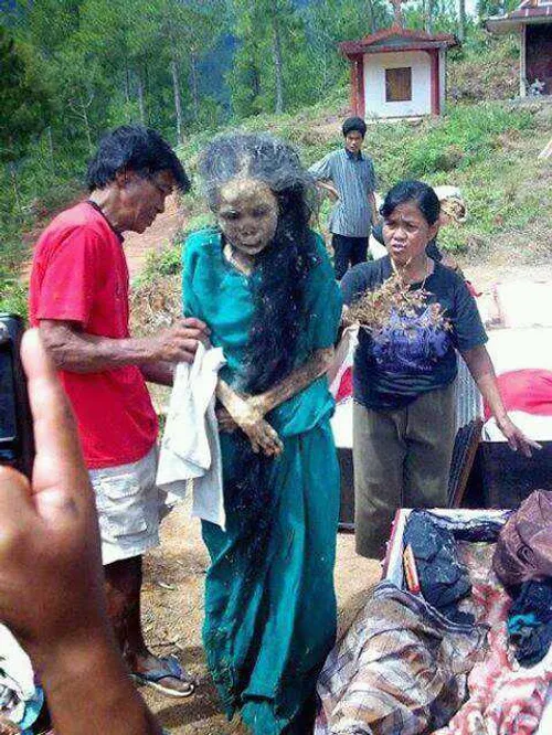 یک قبیله ای در اندونزی هر ازگاهی مردگان خودراازقبر بیرون 