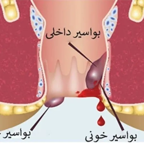 ‏‎سلام دوستان و همران عزیز🫶