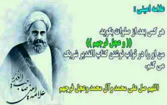 علامه امینی