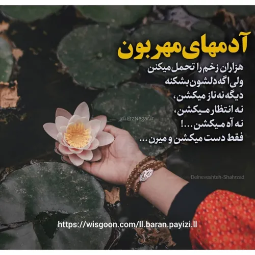 باران ❣آدمهای مهربان .....