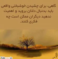 گاهی برای چشیدن خوشبختی واقعی باید بدنبال دلتان بروید