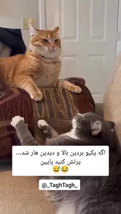 عدم کفایت سیاسی 