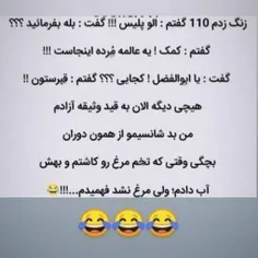 فقط اونجاش که تخم مرغ کاشته 😂😝