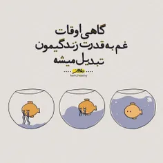 دلگرمیم به حکمتت💝