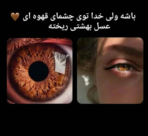 چشم قهوه ای ها اعلام حضور کنید😊