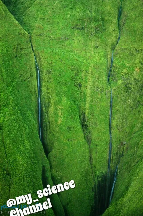 آبشار بسیار زیبای هونوکاهو در هاوایی با ارتفاع 340 و سبز 