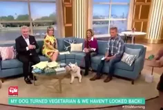 خانمِ در برنامه زنده تلویزیونی ادعا میکنه سگش رو گیاه خوا