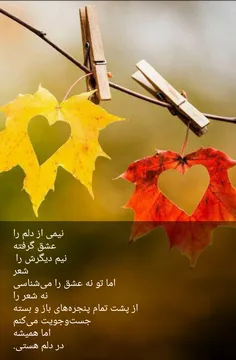 شعر و ادبیات arvana 27592981