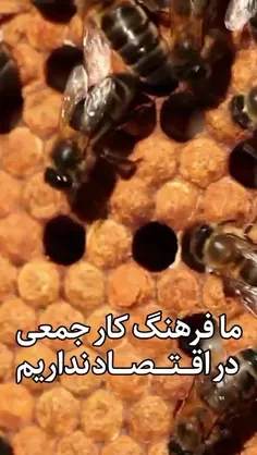 شما مرررررردددددممممم🔔🔔🔔📢📢📢📢باشماممم 