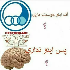 یه‌مشت شل‌مغز اسکول شدن هوادارکیسه دوچرخه