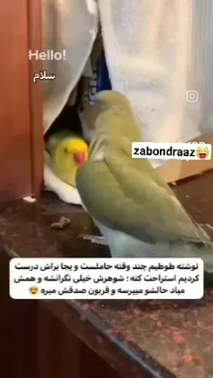 اخودا بیین چطوری عشق بازی میکنه ❤️