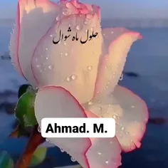 عیــــد سعیدفطر به تمام عزیزان مبارک💞😍