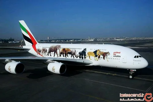 هواپیماهای نقاشی شده دنیا