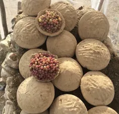 #کنگینه روش ابتکاری مردم افغانستان برای نگهداری تازه میوه