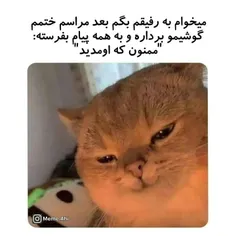 کلا کرم دارم 🌚