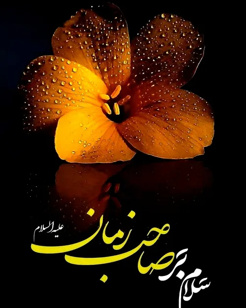 اللهم عجل لولیک الفرج سرباز منجی اللهم عجل لولیک الفرج🌸🍃 