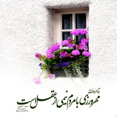 گرامی وعزیزید