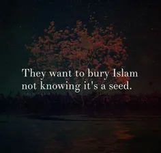 #Islam
