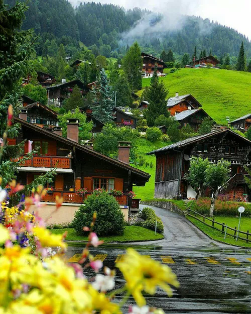 تصویری زیبا از لس دیابلرتس، سوئیس خانه های دنج، گرم و راح