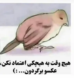 گفتم که نکن😉😐😐😐