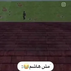 مشاشم