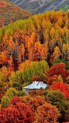 #Nature #Fall