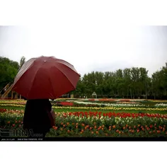 باغ گل های پارک شهید چمران کرج
