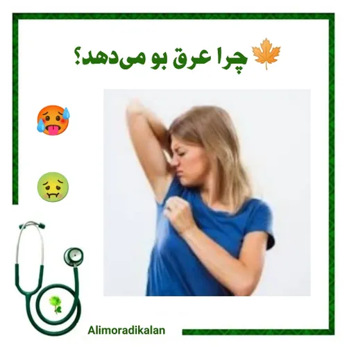 چرا عرق بو می دهد