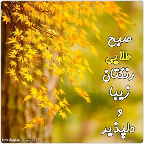 سسسسلامممممم بر تو که اهل سلامی 🍂🍁🍁🍁🍂