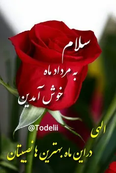 بهترینهارو برای همه آرزو دارم