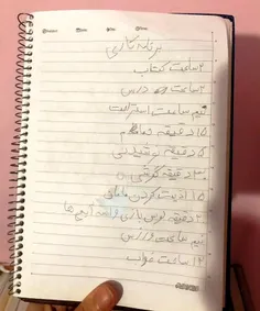 برنامه ریزی کرده واسه کاراش