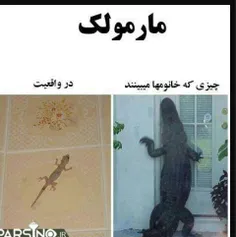 عیدی ایرانسل