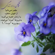 عکس نوشته l.baran.payizi.l 30053580