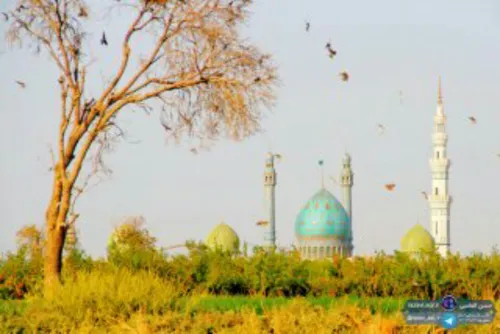 آیا امام عصر عجل الله تعالی فرجه الشریف زمان ظهور خود را 