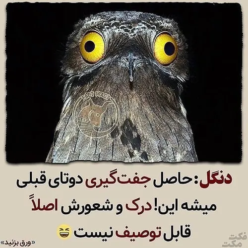 عکس نوشته