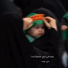 چیدنش تیغ نمی خواست ...نسیمی بس بود 