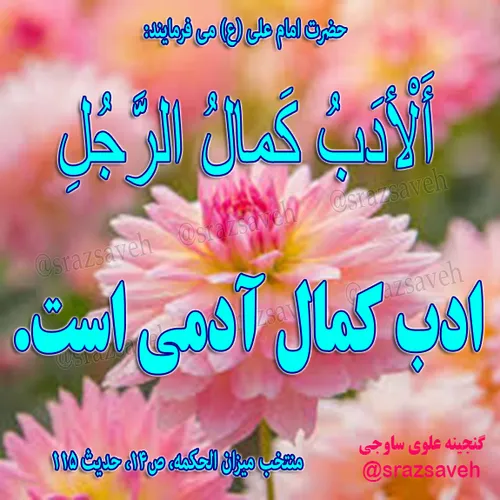 حضرت امام علی ع می فرمایند: