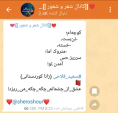 #سعید_فلاحی