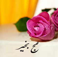 🌷🌹🍀صبح بخیر🍀🌹🌷