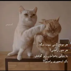 ایده خوبیه😉😂